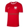 Maillot de Supporter Pologne Extérieur Coupe du Monde 2022 Pour Homme